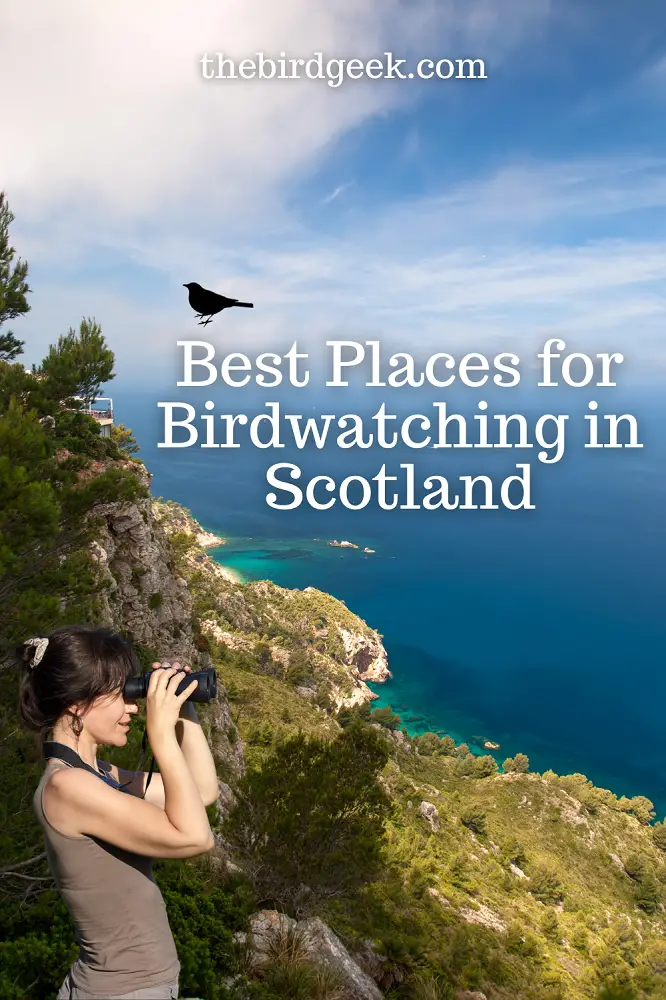 besr birdwatching places in scotland